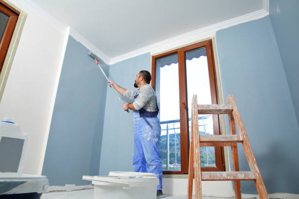 Best Mold Removal for HVAC Installations  in Chatsworth, GA