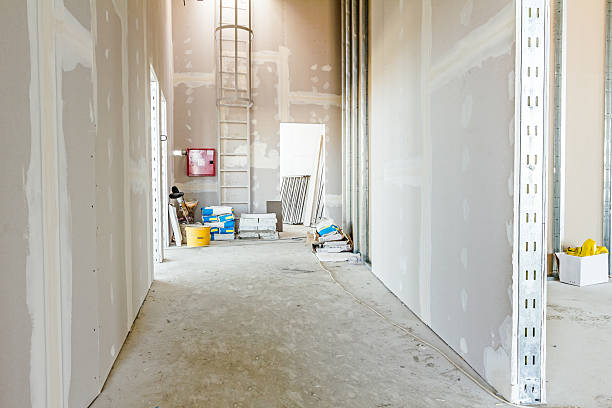 Best Biohazard Mold Removal  in Chatsworth, GA