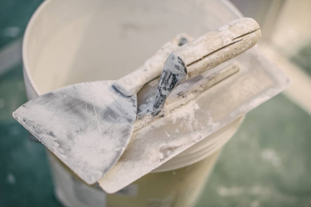 Best Mold Documentation for Insurance Claims  in Chatsworth, GA