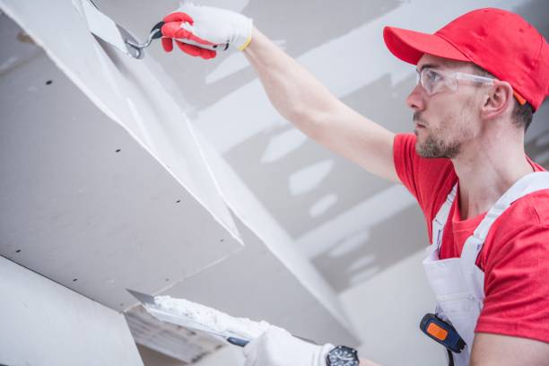 Best Comprehensive Air Testing for Mold Contaminants  in Chatsworth, GA
